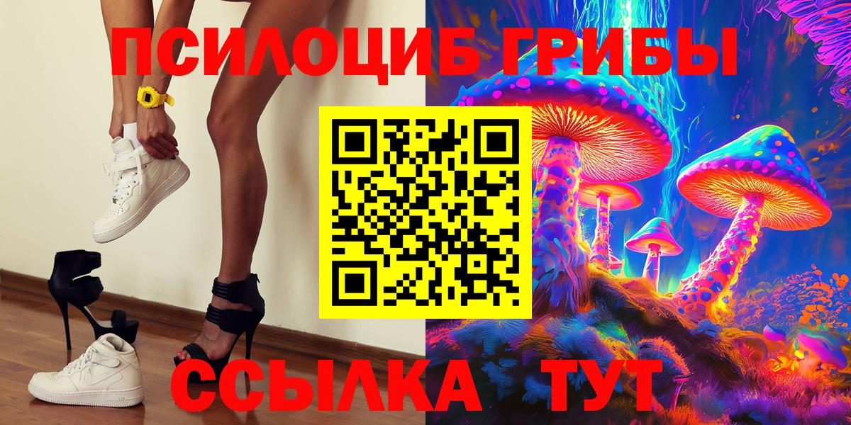 Галлюциногенные грибы Cubensis  Вход с VPN  Россия 